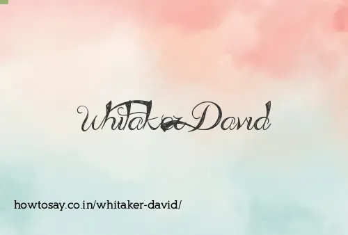 Whitaker David