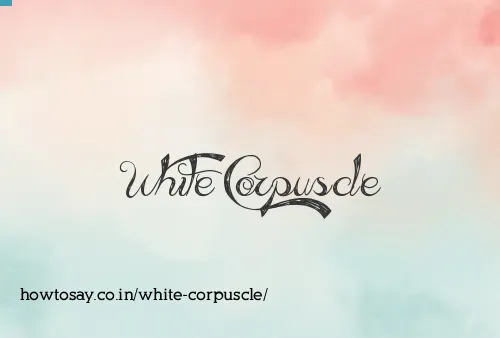 White Corpuscle