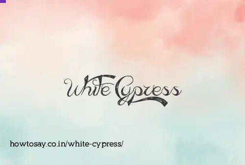 White Cypress