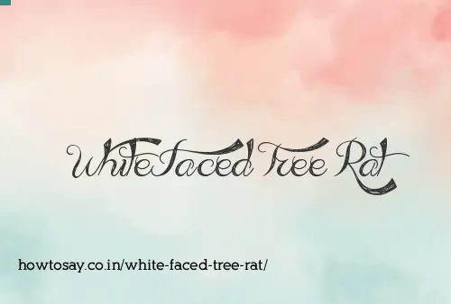 White Faced Tree Rat