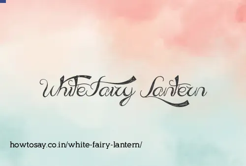 White Fairy Lantern