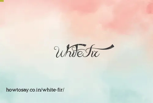 White Fir