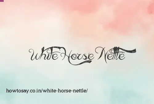 White Horse Nettle