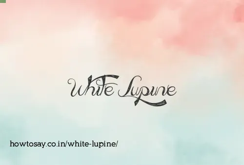 White Lupine