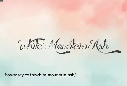 White Mountain Ash