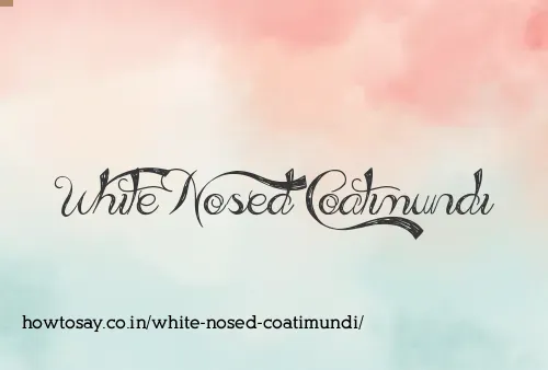 White Nosed Coatimundi