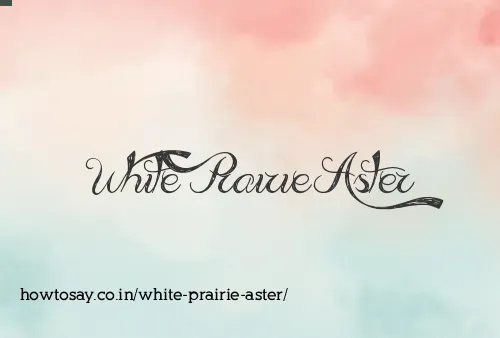 White Prairie Aster