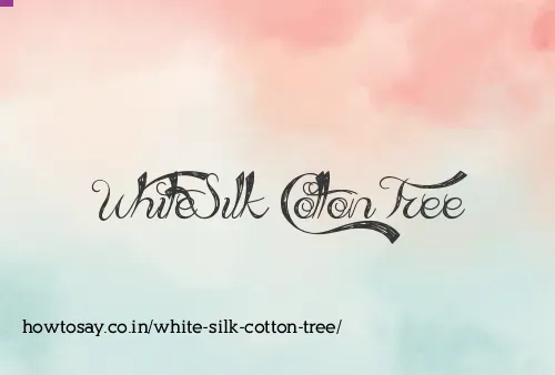 White Silk Cotton Tree