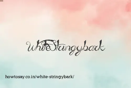 White Stringybark
