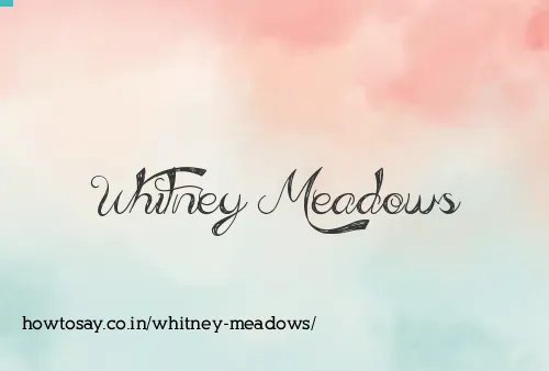 Whitney Meadows