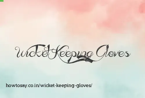Wicket Keeping Gloves