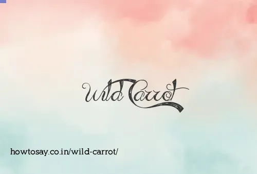Wild Carrot