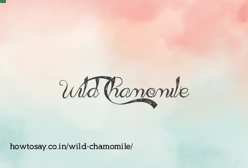 Wild Chamomile