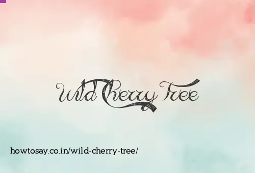 Wild Cherry Tree