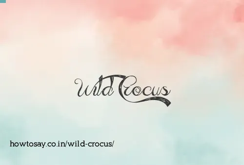 Wild Crocus