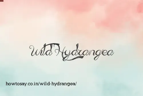 Wild Hydrangea