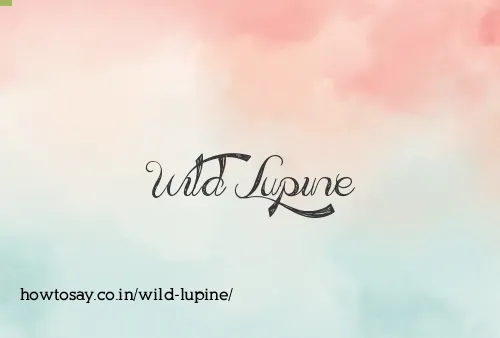 Wild Lupine