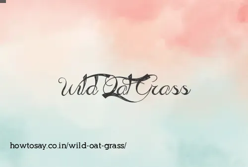 Wild Oat Grass