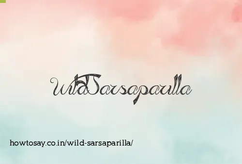 Wild Sarsaparilla