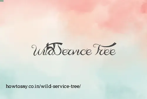 Wild Service Tree