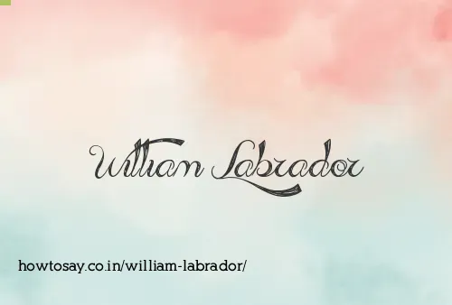 William Labrador