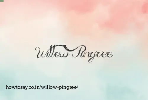 Willow Pingree