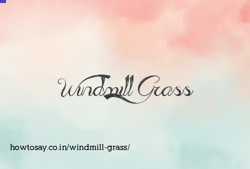 Windmill Grass
