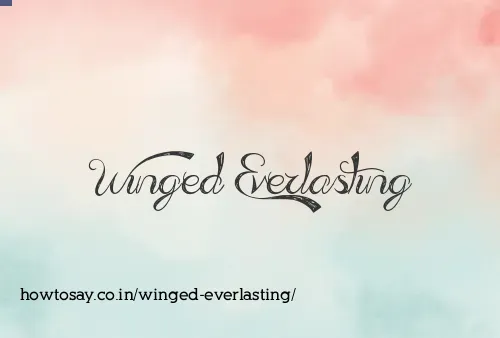 Winged Everlasting