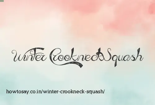 Winter Crookneck Squash