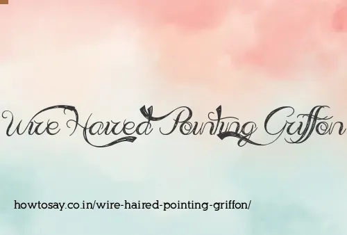 Wire Haired Pointing Griffon