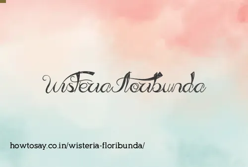 Wisteria Floribunda