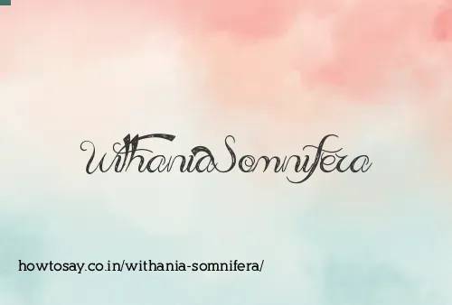 Withania Somnifera