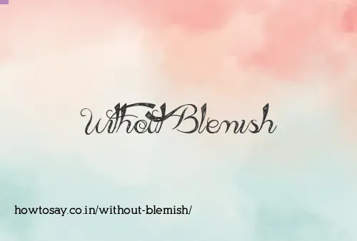 Without Blemish