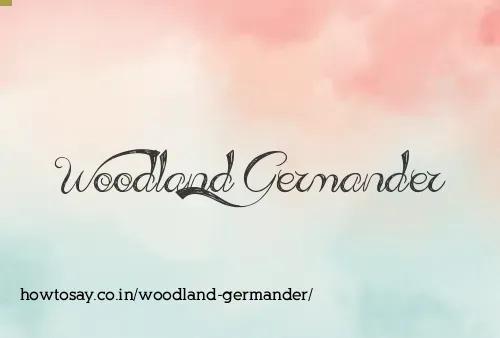 Woodland Germander