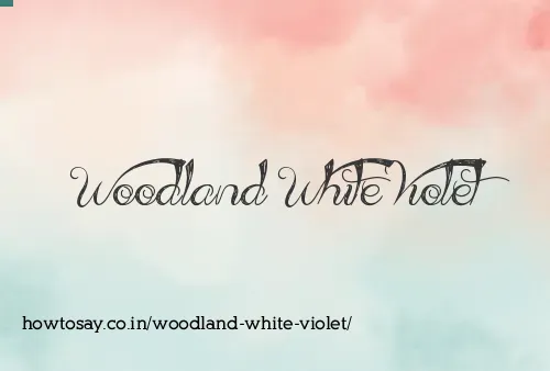 Woodland White Violet