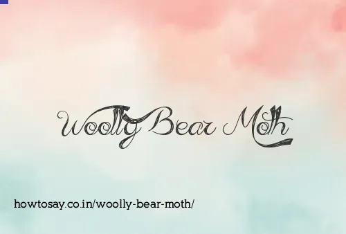 Woolly Bear Moth