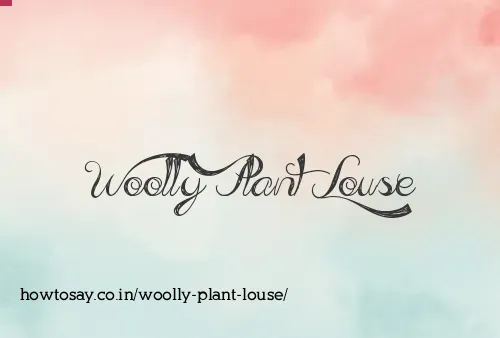Woolly Plant Louse