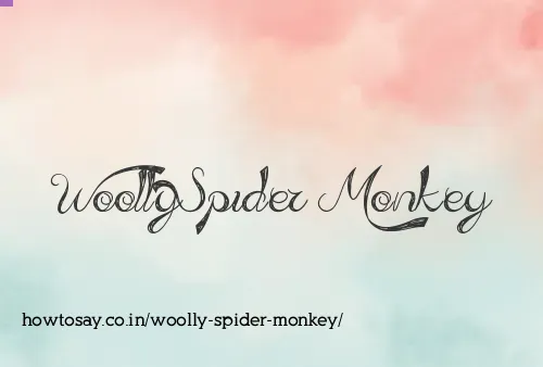 Woolly Spider Monkey