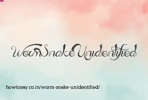 Worm Snake Unidentified
