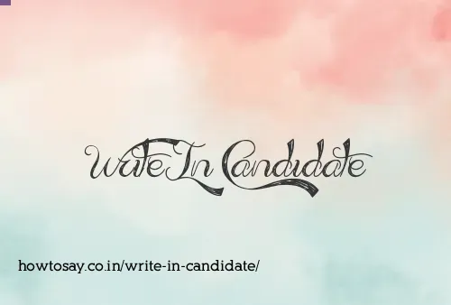 Write In Candidate