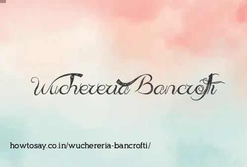 Wuchereria Bancrofti