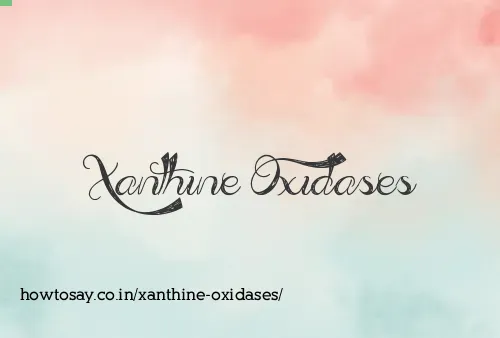Xanthine Oxidases