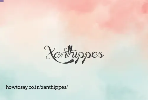 Xanthippes