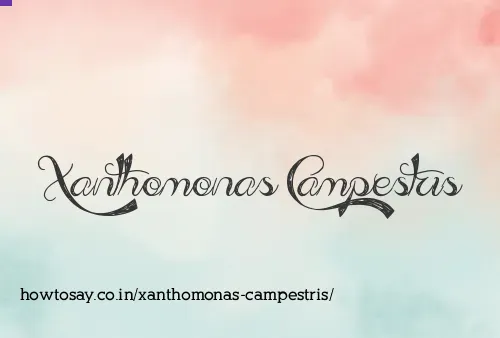 Xanthomonas Campestris