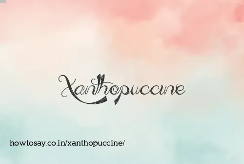 Xanthopuccine