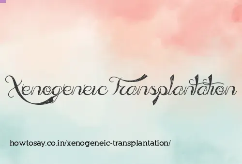 Xenogeneic Transplantation