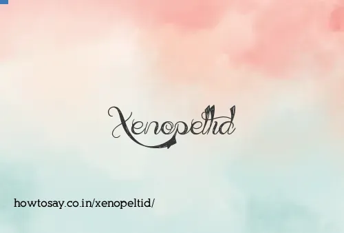 Xenopeltid