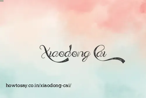 Xiaodong Cai