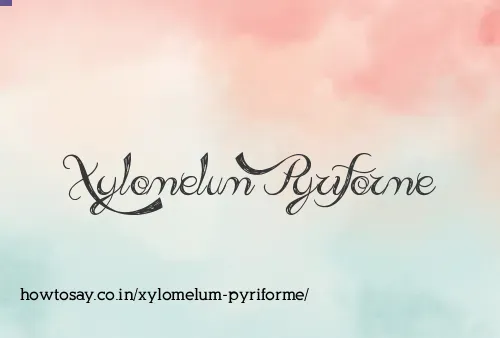 Xylomelum Pyriforme