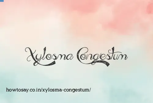 Xylosma Congestum